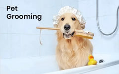 Pet Grooming