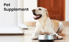 Dog Suppliments