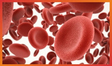 Platelet Care