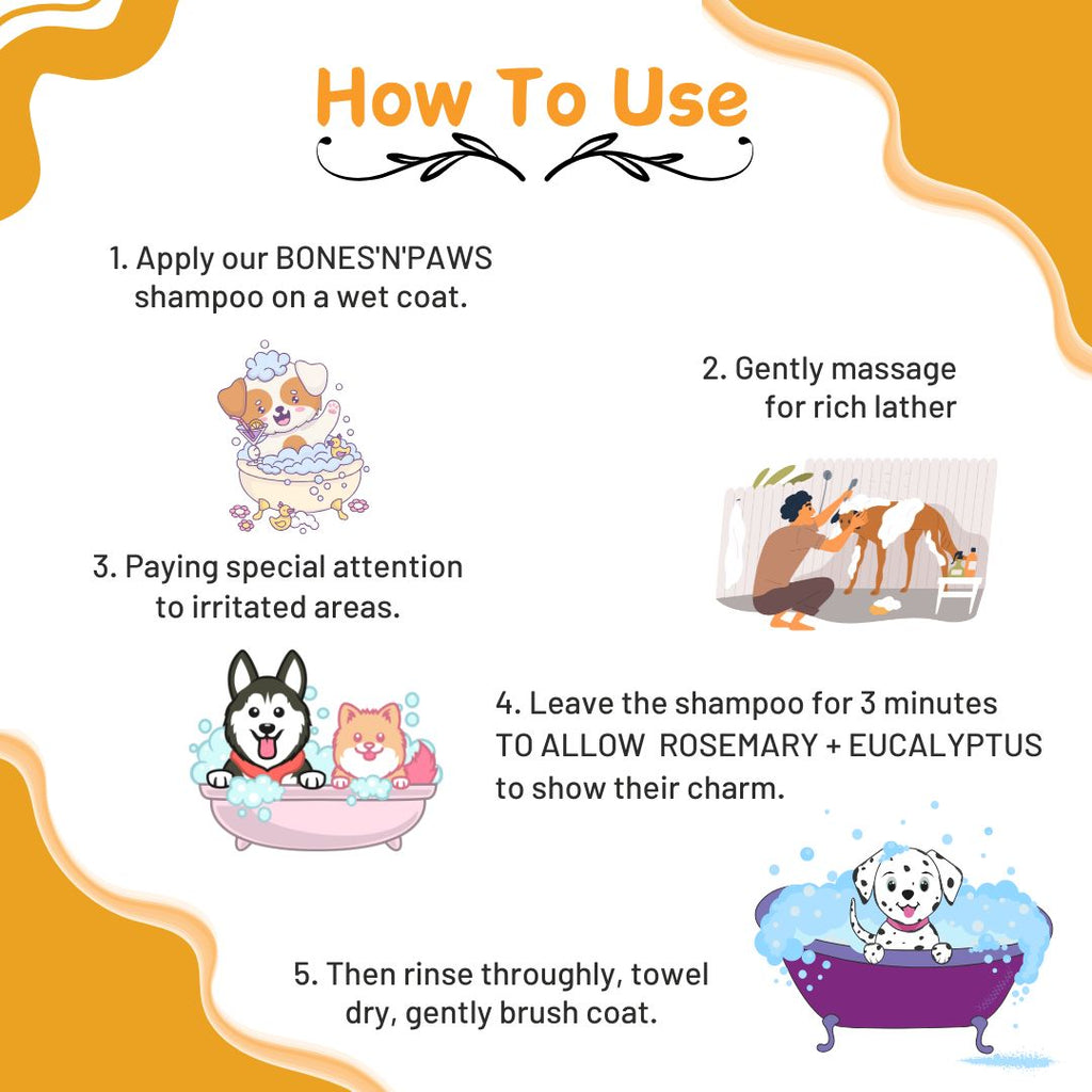 Bones N Paws 2-in-1 Anti-Tick & Flea Dog N cat Shampoo 100ml | Conditioning Pet Coat Cleanser with Rosemary & Eucalyptus | Kills Ticks & Fleas | Anti-Fungal, Antibacterial | Puppy Safe for All Breeds