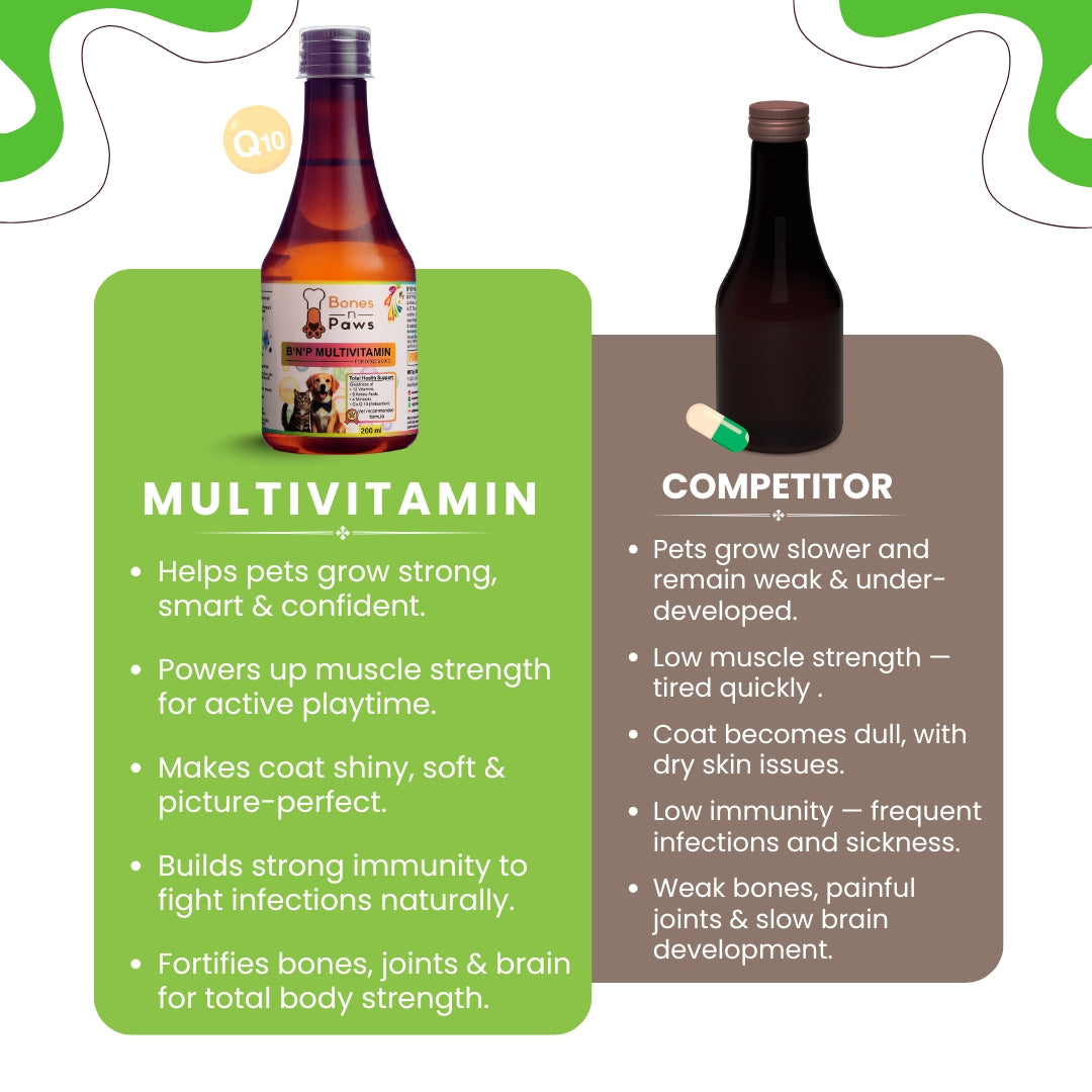 Bones & Paws B’N’P Multivitamin Syrup for Dogs & Cats (200 ml) | 12 Vitamins, 9 Amino Acids, Minerals & CoQ10 | Skin, Coat, Immunity & Energy Support
