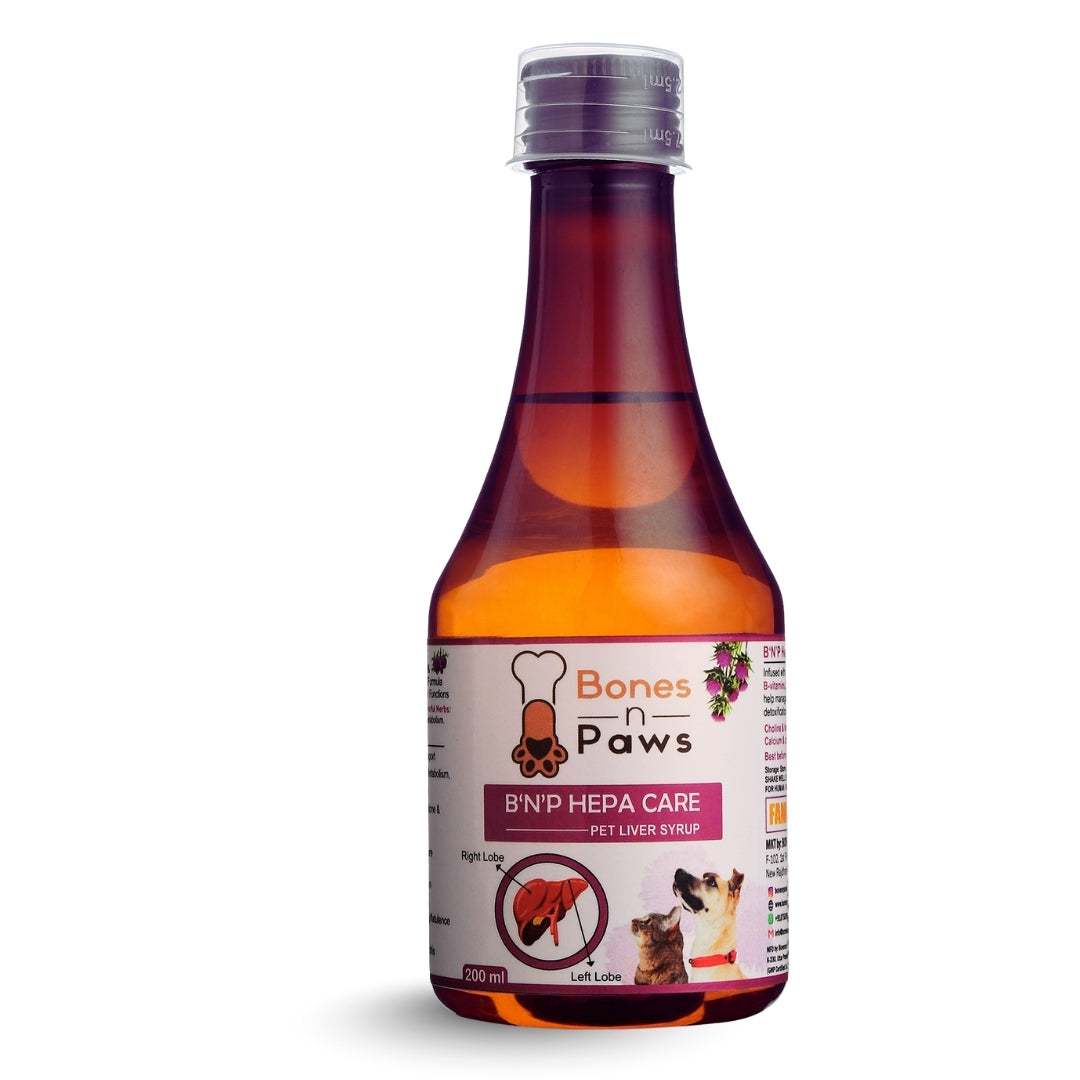 Bones & Paws B’N’P Hepa Care Liver Syrup for Dogs & Cats 200ml | Supports Liver Health, Detox & Fatty Liver | With Silymarin, Choline & B-Vitamins | Highly Palatable & Easy to Feed