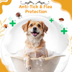 Bones N Paws 2-in-1 Anti-Tick & Flea Dog N cat Shampoo 220ml | Conditioning Pet Coat Cleanser with Rosemary & Eucalyptus  Puppy Safe| Kills Ticks & Fleas | Anti-Fungal, Antibacterial | Safe for All Breeds