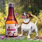 Bones & Paws B’N’P Hepa Care Liver Syrup for Dogs & Cats 200ml | Supports Liver Health, Detox & Fatty Liver | With Silymarin, Choline & B-Vitamins | Highly Palatable & Easy to Feed