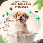 Bones N Paws Anti-Tick & Flea Dry Shampoo for Dogs, Cats , Pets 35ml | Waterless Vegan Spray | 9 Plant-Based Ingredients |  Puppy Safe Tick & Bug Repellent