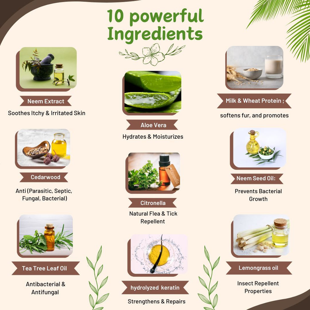 Bones N Paws Anti-Tick & Flea Dry Shampoo for Dogs, Cats , Pets 35ml | Waterless Vegan Spray | 9 Plant-Based Ingredients |  Puppy Safe Tick & Bug Repellent