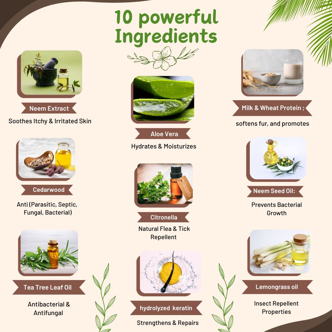 Bones N Paws Anti-Tick & Flea Dry Shampoo for Dogs, Cats , Pets 35ml | Waterless Vegan Spray | 9 Plant-Based Ingredients |  Puppy Safe Tick & Bug Repellent