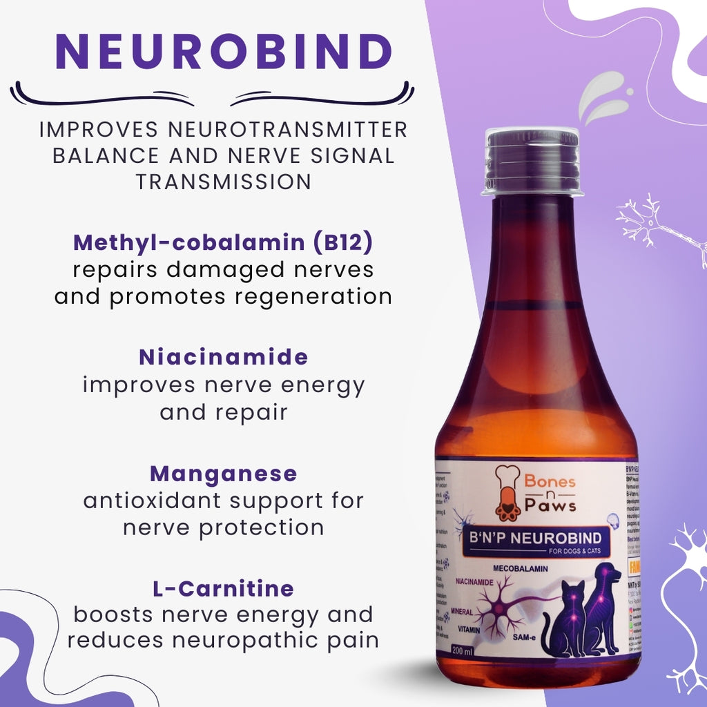 Bones & Paws B’N’P Neurobind Syrup for Dogs & Cats (200 ml) | Methylcobalamin, SAM-e, Niacinamide, Omega-3 & B Vitamins | Brain, Nerve & Cognitive Support
