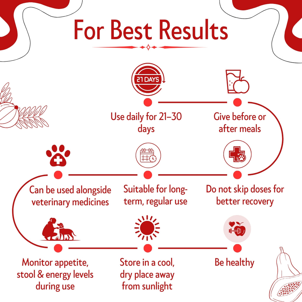 Bones & Paws B’N’P Plate Boost Herbal Syrup for Dogs & Cats 200ml | Supports Platelet & RBC Levels | Papaya Leaf, Giloy & Ashwagandha | Highly Palatable & Easy to Feed | Immunity & Recovery