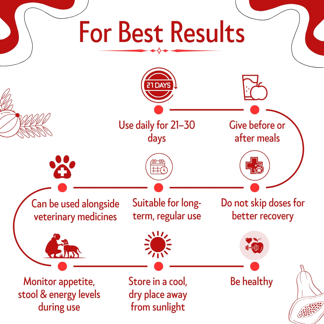 Bones & Paws B’N’P Plate Boost Herbal Syrup for Dogs & Cats 200ml | Supports Platelet & RBC Levels | Papaya Leaf, Giloy & Ashwagandha | Highly Palatable & Easy to Feed | Immunity & Recovery