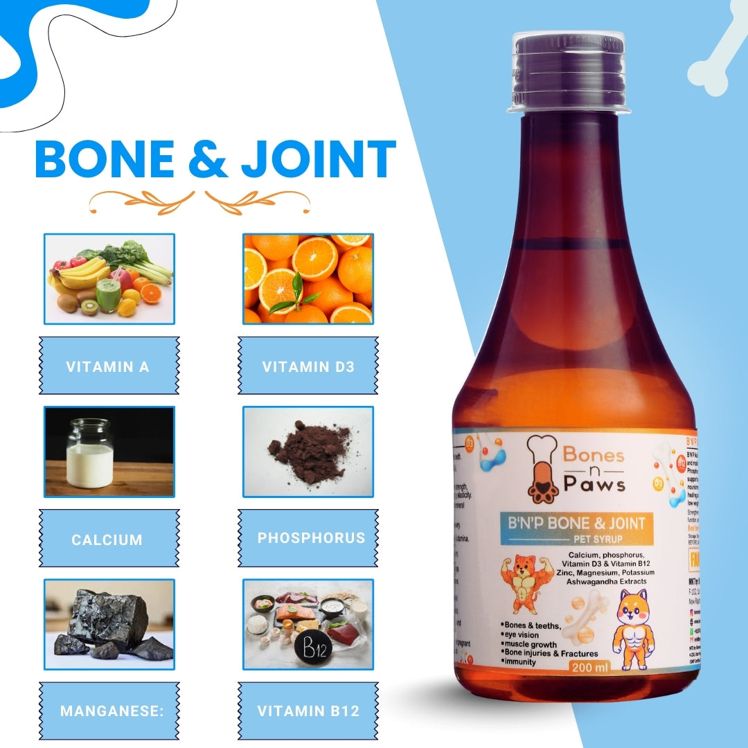 Bones & Paws B’N’P Bone & Joint Pet Syrup for Dogs & Cats 200ml – Strong Bones, Joints, Teeth,muscle growth with Calcium, Phosphorus, Vitamin D3 & B12 |