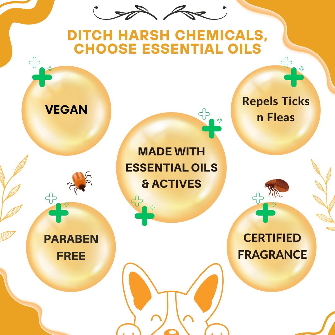 Bones N Paws 2-in-1 Anti-Tick & Flea Dog N cat Shampoo 50ml | Conditioning Pet Coat Cleanser with Rosemary & Eucalyptus  Puppy Safe | Kills Ticks & Fleas | Anti-Fungal, Antibacterial | Safe for All Breeds