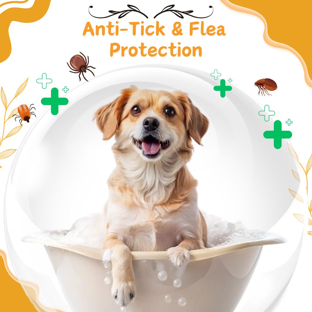 Bones N Paws 2-in-1 Anti-Tick & Flea Dog N cat Shampoo 50ml | Conditioning Pet Coat Cleanser with Rosemary & Eucalyptus  Puppy Safe | Kills Ticks & Fleas | Anti-Fungal, Antibacterial | Safe for All Breeds
