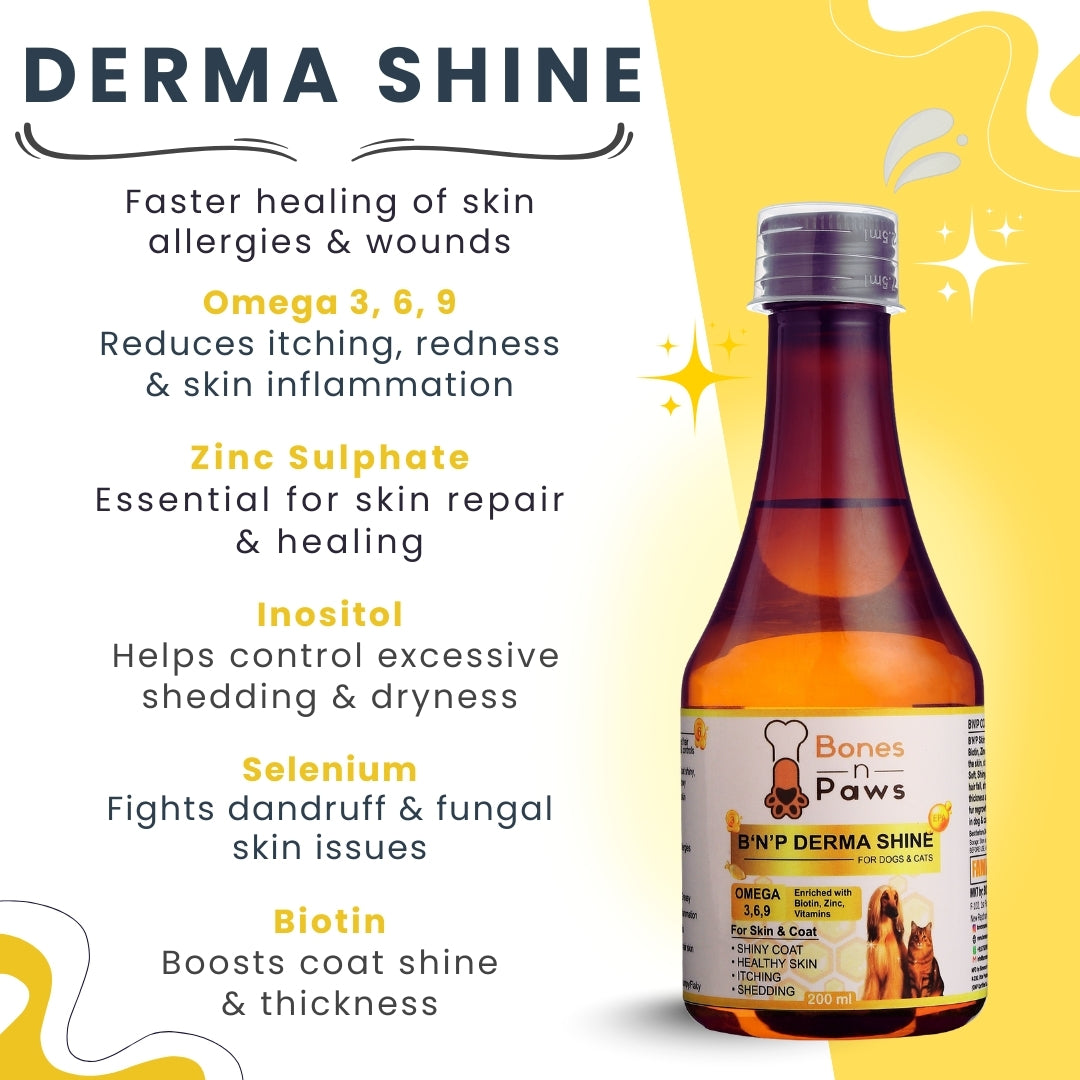 Bones & Paws B’N’P Derma Shine Skin & Coat Syrup for Dogs & Cats 200ml – Omega 3-6-9 with Fish Oil, Biotin & Zinc for Shiny Coat & Healthy Skin |