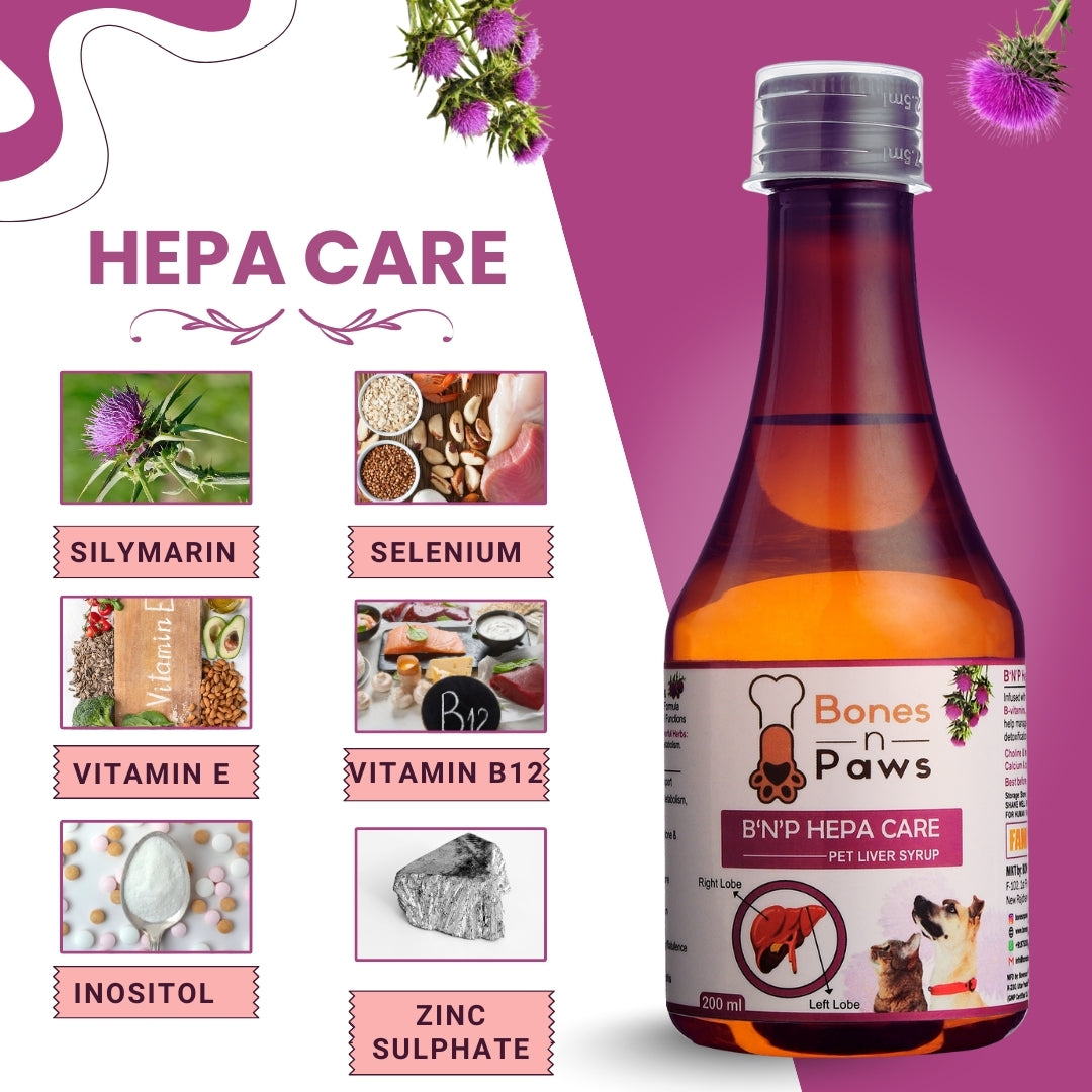 Bones & Paws B’N’P Hepa Care Liver Syrup for Dogs & Cats 200ml | Supports Liver Health, Detox & Fatty Liver | With Silymarin, Choline & B-Vitamins | Highly Palatable & Easy to Feed