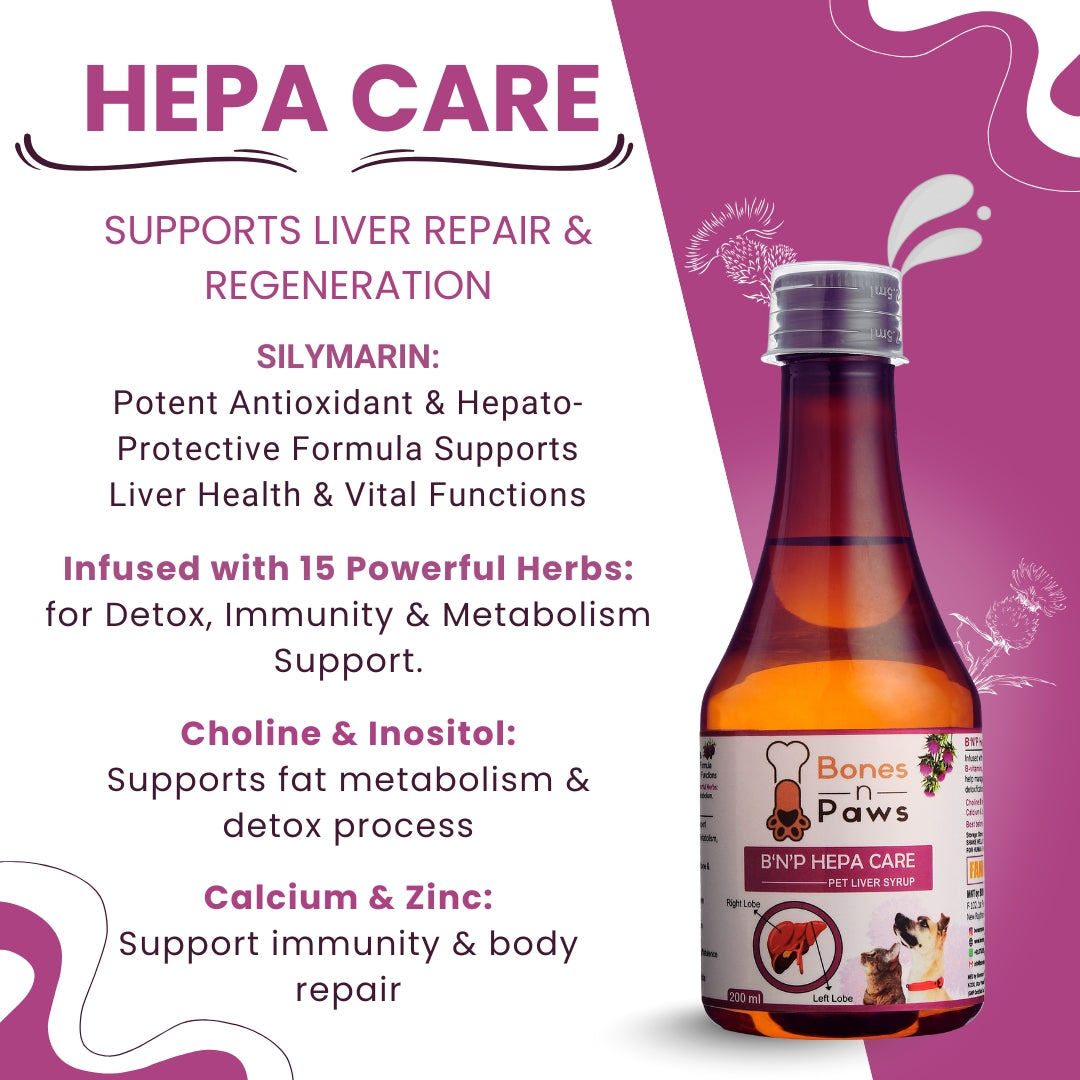 Bones & Paws B’N’P Hepa Care Liver Syrup for Dogs & Cats 200ml | Supports Liver Health, Detox & Fatty Liver | With Silymarin, Choline & B-Vitamins | Highly Palatable & Easy to Feed