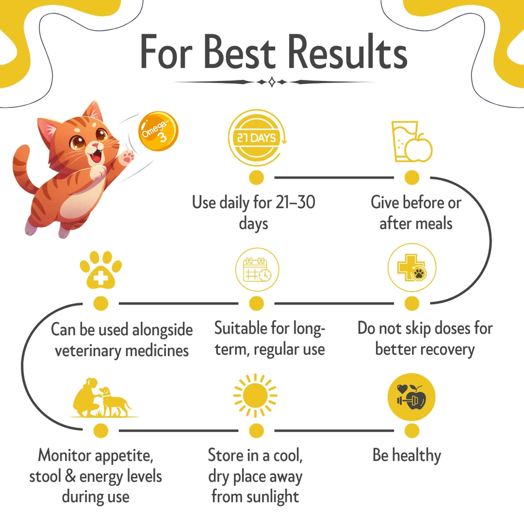 Bones & Paws B’N’P Derma Shine Skin & Coat Syrup for Dogs & Cats 200ml – Omega 3-6-9 with Fish Oil, Biotin & Zinc for Shiny Coat & Healthy Skin |