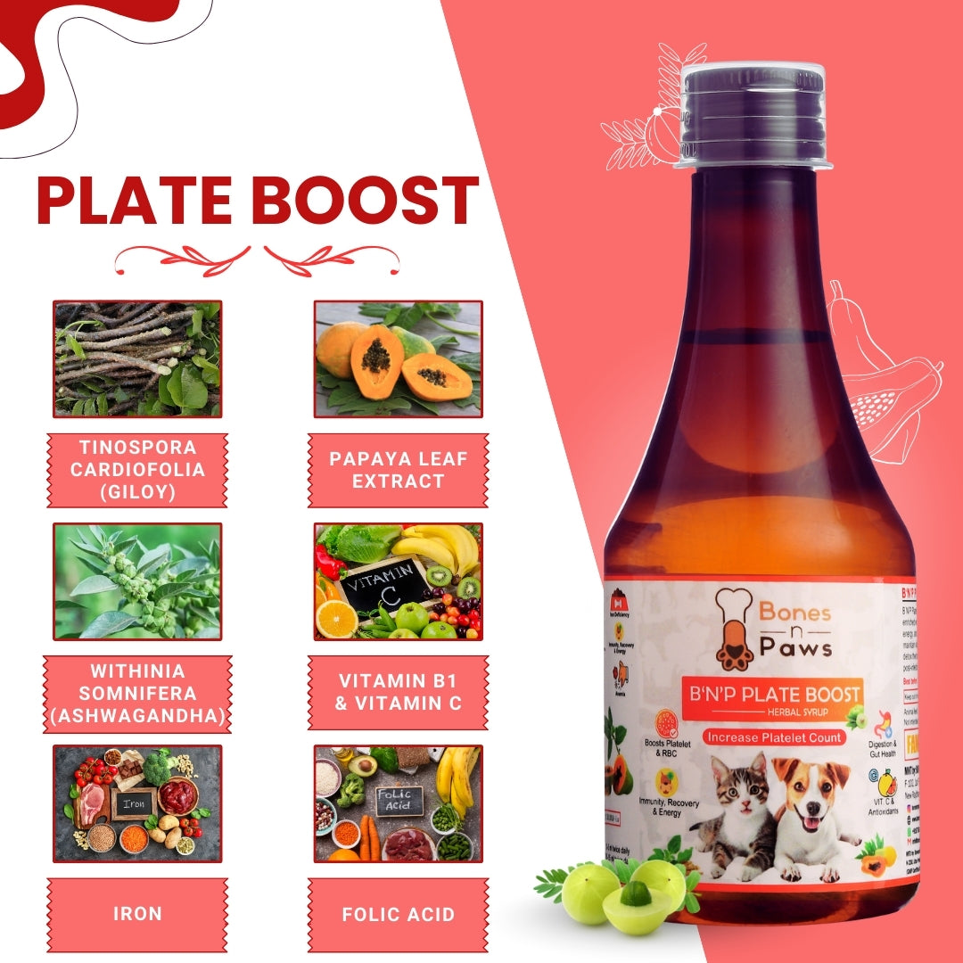 Bones & Paws B’N’P Plate Boost Herbal Syrup for Dogs & Cats 200ml | Supports Platelet & RBC Levels | Papaya Leaf, Giloy & Ashwagandha | Highly Palatable & Easy to Feed | Immunity & Recovery