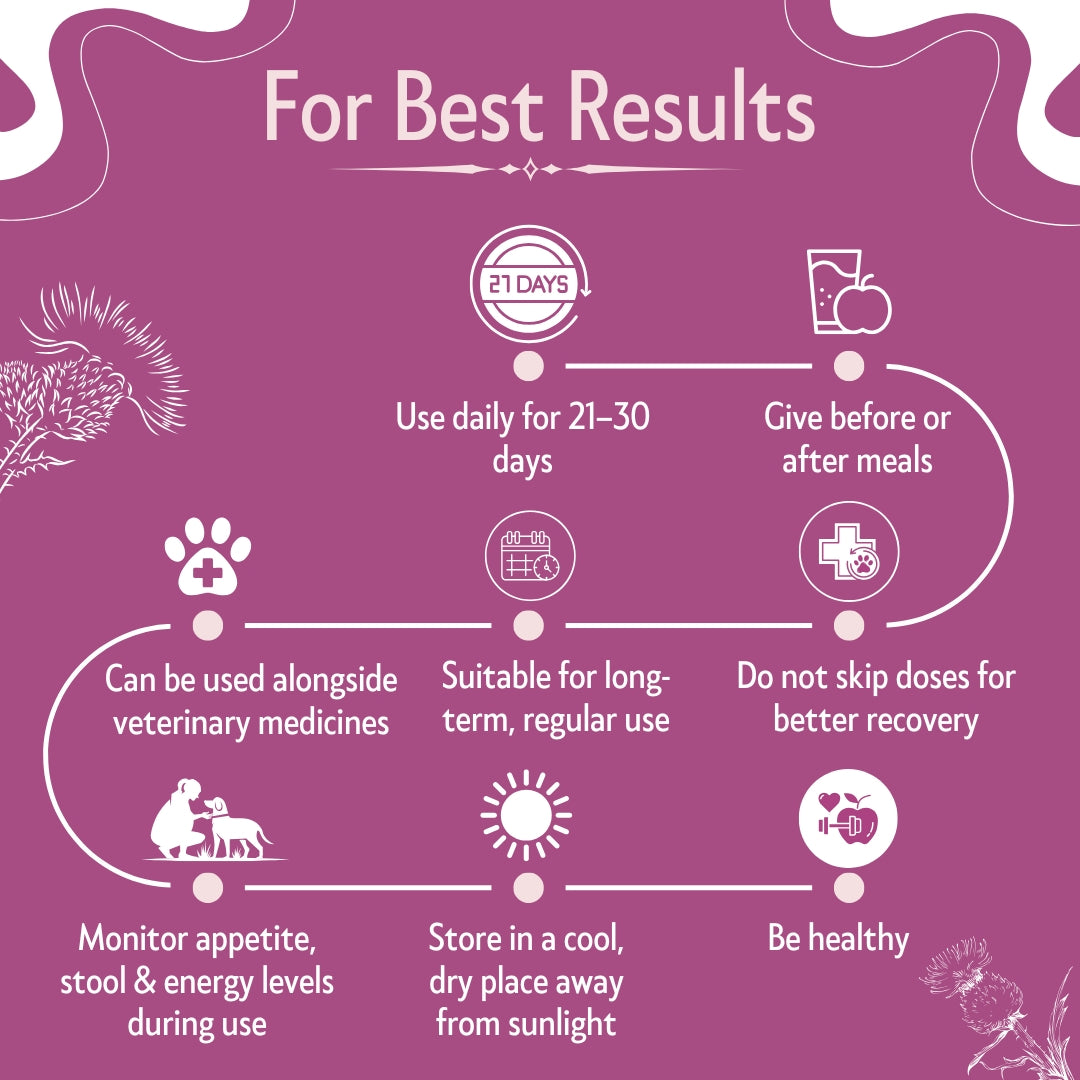 Bones & Paws B’N’P Hepa Care Liver Syrup for Dogs & Cats 200ml | Supports Liver Health, Detox & Fatty Liver | With Silymarin, Choline & B-Vitamins | Highly Palatable & Easy to Feed