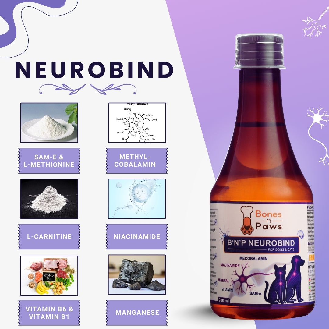 Bones & Paws B’N’P Neurobind Syrup for Dogs & Cats (200 ml) | Methylcobalamin, SAM-e, Niacinamide, Omega-3 & B Vitamins | Brain, Nerve & Cognitive Support