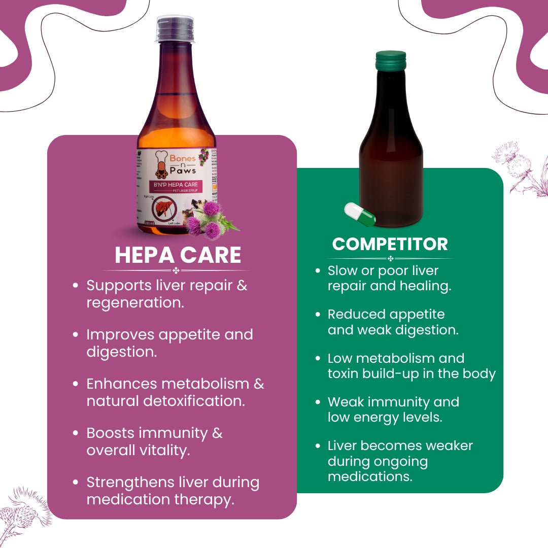 Bones & Paws B’N’P Hepa Care Liver Syrup for Dogs & Cats 200ml | Supports Liver Health, Detox & Fatty Liver | With Silymarin, Choline & B-Vitamins | Highly Palatable & Easy to Feed