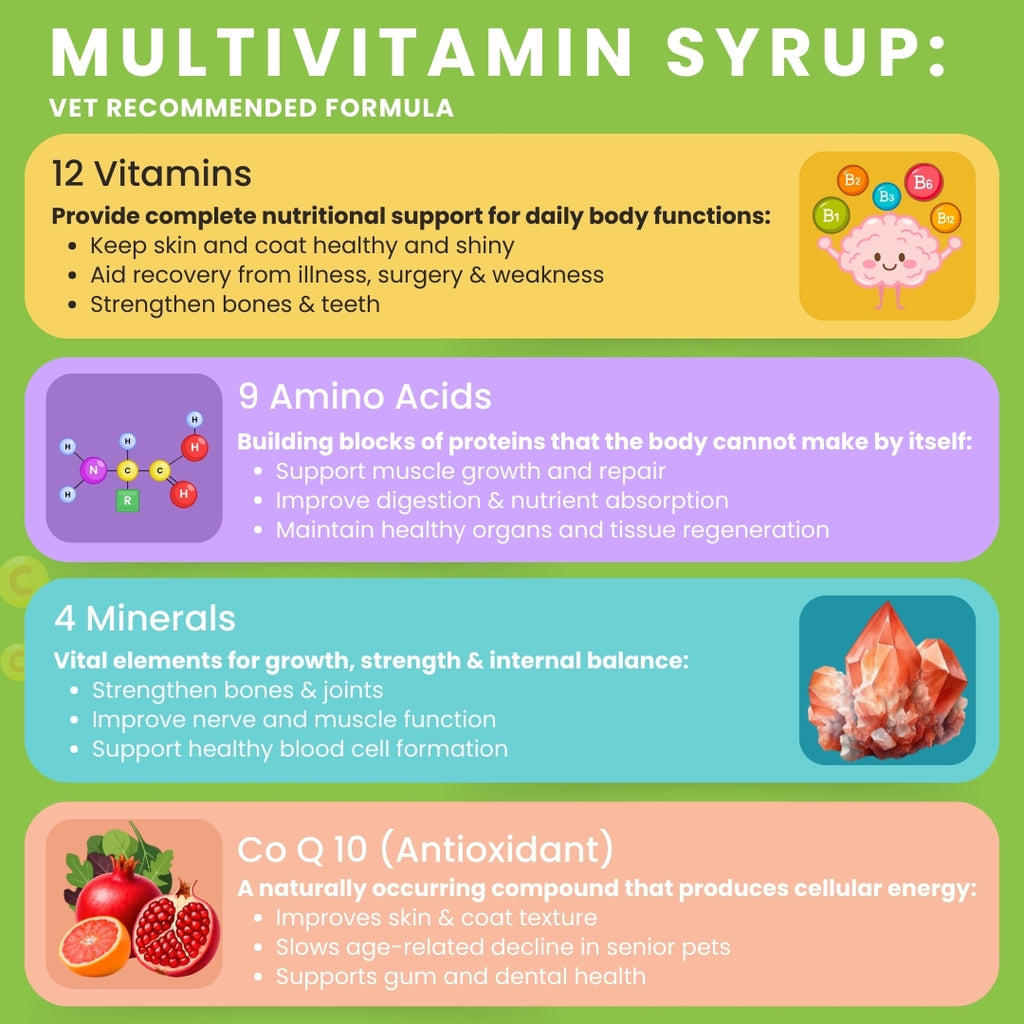 Bones & Paws B’N’P Multivitamin Syrup for Dogs & Cats (200 ml) | 12 Vitamins, 9 Amino Acids, Minerals & CoQ10 | Skin, Coat, Immunity & Energy Support