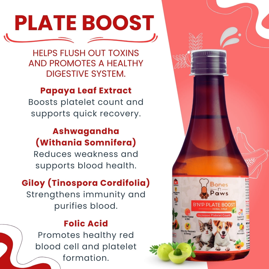 Bones & Paws B’N’P Plate Boost Herbal Syrup for Dogs & Cats 200ml | Supports Platelet & RBC Levels | Papaya Leaf, Giloy & Ashwagandha | Highly Palatable & Easy to Feed | Immunity & Recovery