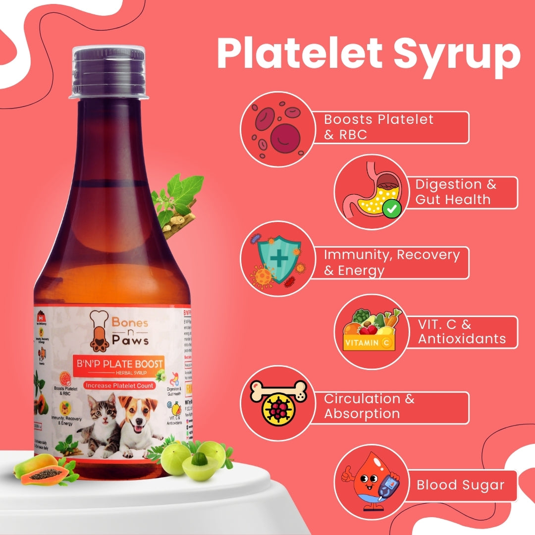 Bones & Paws B’N’P Plate Boost Herbal Syrup for Dogs & Cats 200ml | Supports Platelet & RBC Levels | Papaya Leaf, Giloy & Ashwagandha | Highly Palatable & Easy to Feed | Immunity & Recovery