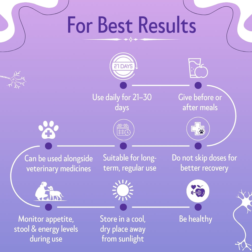 Bones & Paws B’N’P Neurobind Syrup for Dogs & Cats (200 ml) | Methylcobalamin, SAM-e, Niacinamide, Omega-3 & B Vitamins | Brain, Nerve & Cognitive Support