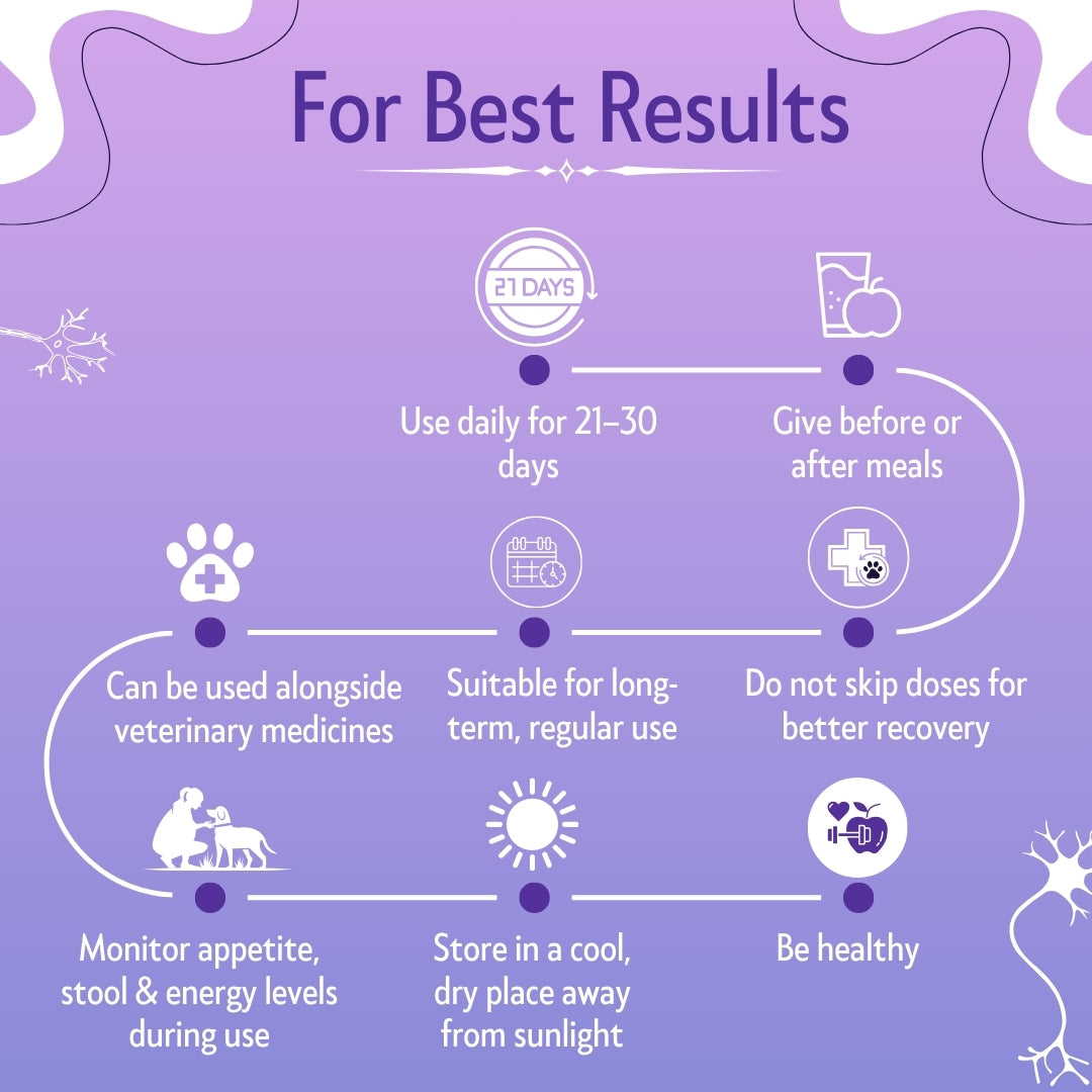 Bones & Paws B’N’P Neurobind Syrup for Dogs & Cats (200 ml) | Methylcobalamin, SAM-e, Niacinamide, Omega-3 & B Vitamins | Brain, Nerve & Cognitive Support