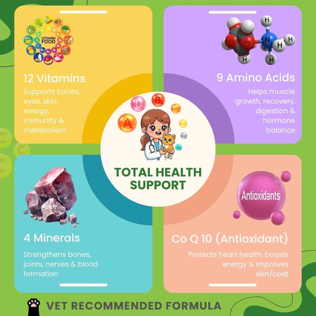 Bones & Paws B’N’P Multivitamin Syrup for Dogs & Cats (200 ml) | 12 Vitamins, 9 Amino Acids, Minerals & CoQ10 | Skin, Coat, Immunity & Energy Support