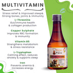 Bones & Paws B’N’P Multivitamin Syrup for Dogs & Cats (200 ml) | 12 Vitamins, 9 Amino Acids, Minerals & CoQ10 | Skin, Coat, Immunity & Energy Support