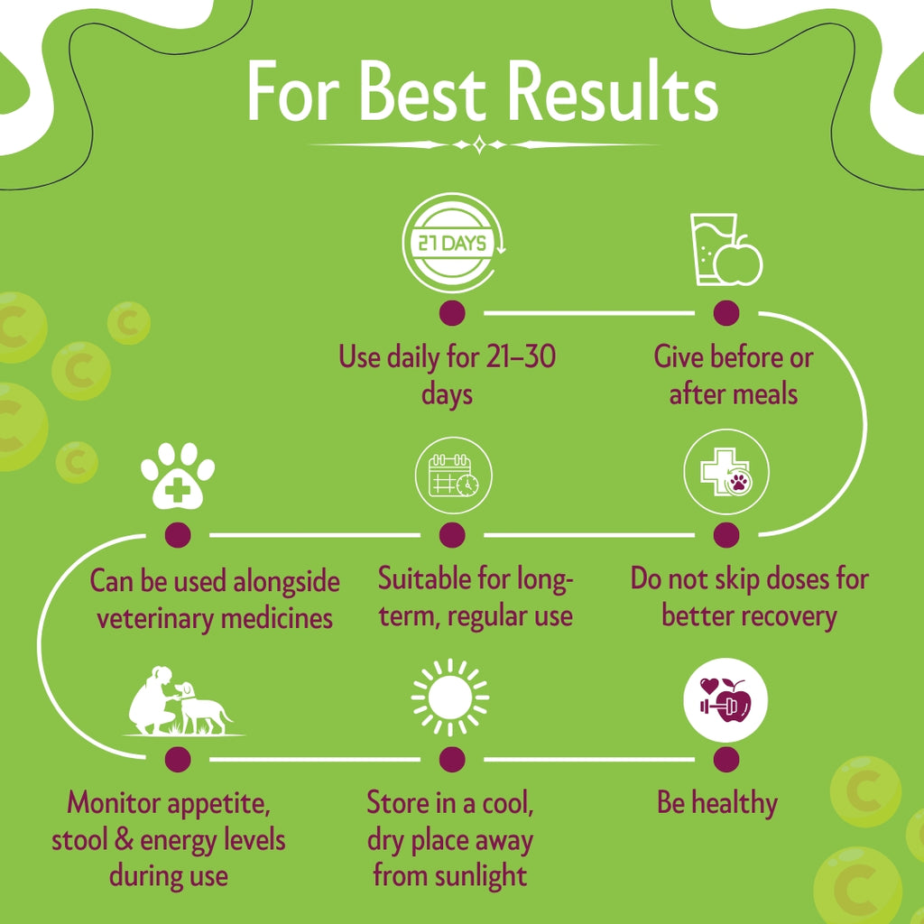 Bones & Paws B’N’P Multivitamin Syrup for Dogs & Cats (200 ml) | 12 Vitamins, 9 Amino Acids, Minerals & CoQ10 | Skin, Coat, Immunity & Energy Support