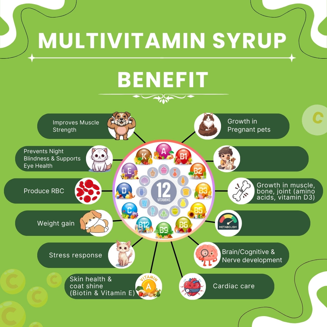 Bones & Paws B’N’P Multivitamin Syrup for Dogs & Cats (200 ml) | 12 Vitamins, 9 Amino Acids, Minerals & CoQ10 | Skin, Coat, Immunity & Energy Support