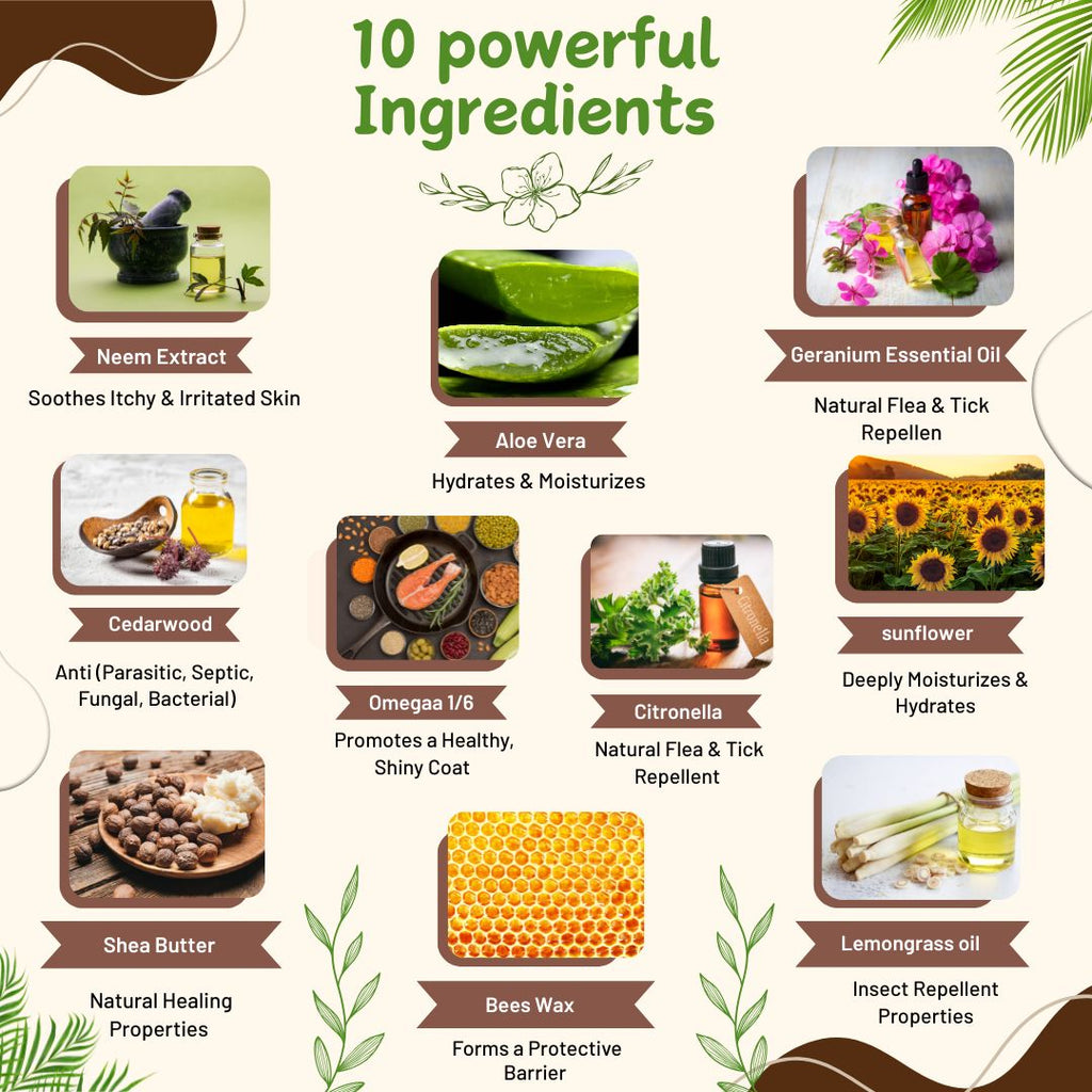 Bones N Paws Heal Balm ,Nose, Paws & Elbow Cream for Dogs & Cats 50g | Relieves Cuts, Cracks, Dry & Itchy Skin ,Inflamation, Redness | Shea Butter, Coconut, Neem & Essential Oils  Puppy Safe |