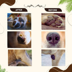 Bones N Paws Heal Balm ,Nose, Paws & Elbow Cream for Dogs & Cats 50g | Relieves Cuts, Cracks, Dry & Itchy Skin ,Inflamation, Redness | Shea Butter, Coconut, Neem & Essential Oils  Puppy Safe |