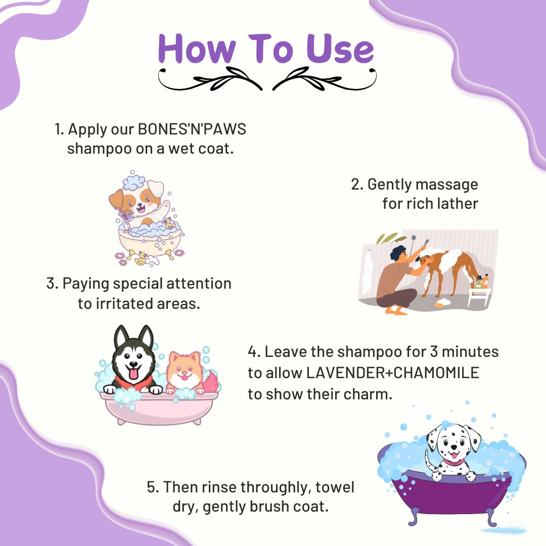 Bones N Paws 5-in-1 All Purpose Conditioning Dog Shampoo 100ml | Deodrise, Detangle,Cleanse, Moisturize, Shiny Coat | Anti-Fungal, Antibacteria, Antidandruff & pH Balance Lavender Chamomile | All Breed