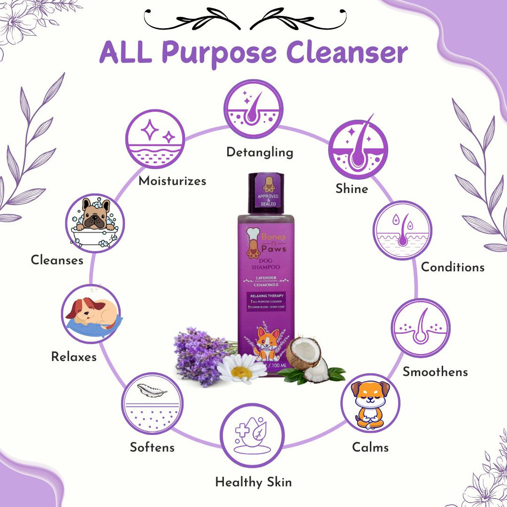 Bones N Paws 5-in-1 All Purpose Conditioning Dog Shampoo 100ml | Deodrise, Detangle,Cleanse, Moisturize, Shiny Coat | Anti-Fungal, Antibacteria, Antidandruff & pH Balance Lavender Chamomile | All Breed