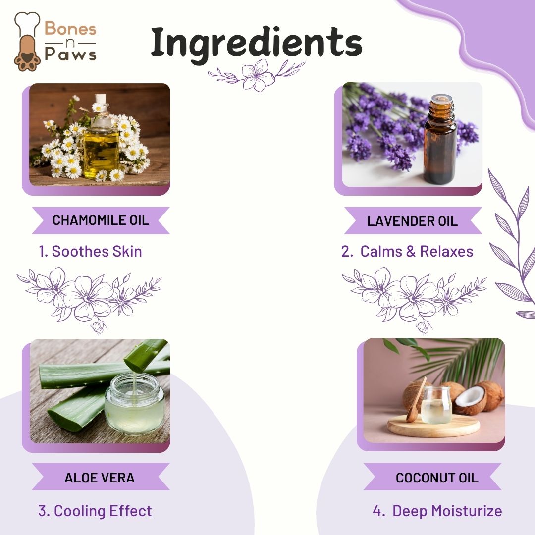 Bones N Paws 5-in-1 All Purpose Conditioning Dog Shampoo 50ml | Deodrise, Detangle,Cleanse, Moisturize, Shiny Coat Puppy Safe | Anti-Fungal, Antibacteria, Antidandruff & pH Balance Lavender Chamomile | All Breed