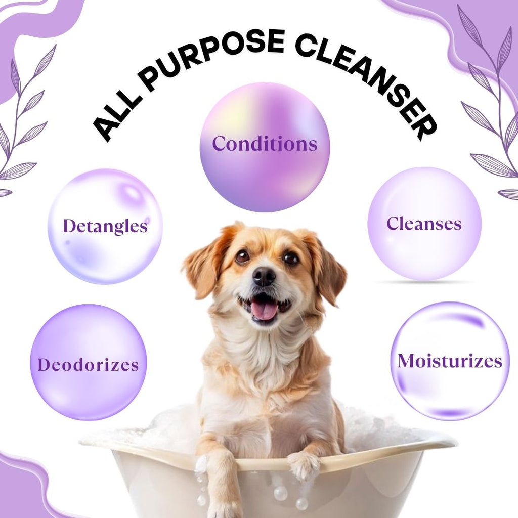 Bones N Paws 5-in-1 All Purpose Conditioning Dog Shampoo 50ml | Deodrise, Detangle,Cleanse, Moisturize, Shiny Coat Puppy Safe | Anti-Fungal, Antibacteria, Antidandruff & pH Balance Lavender Chamomile | All Breed