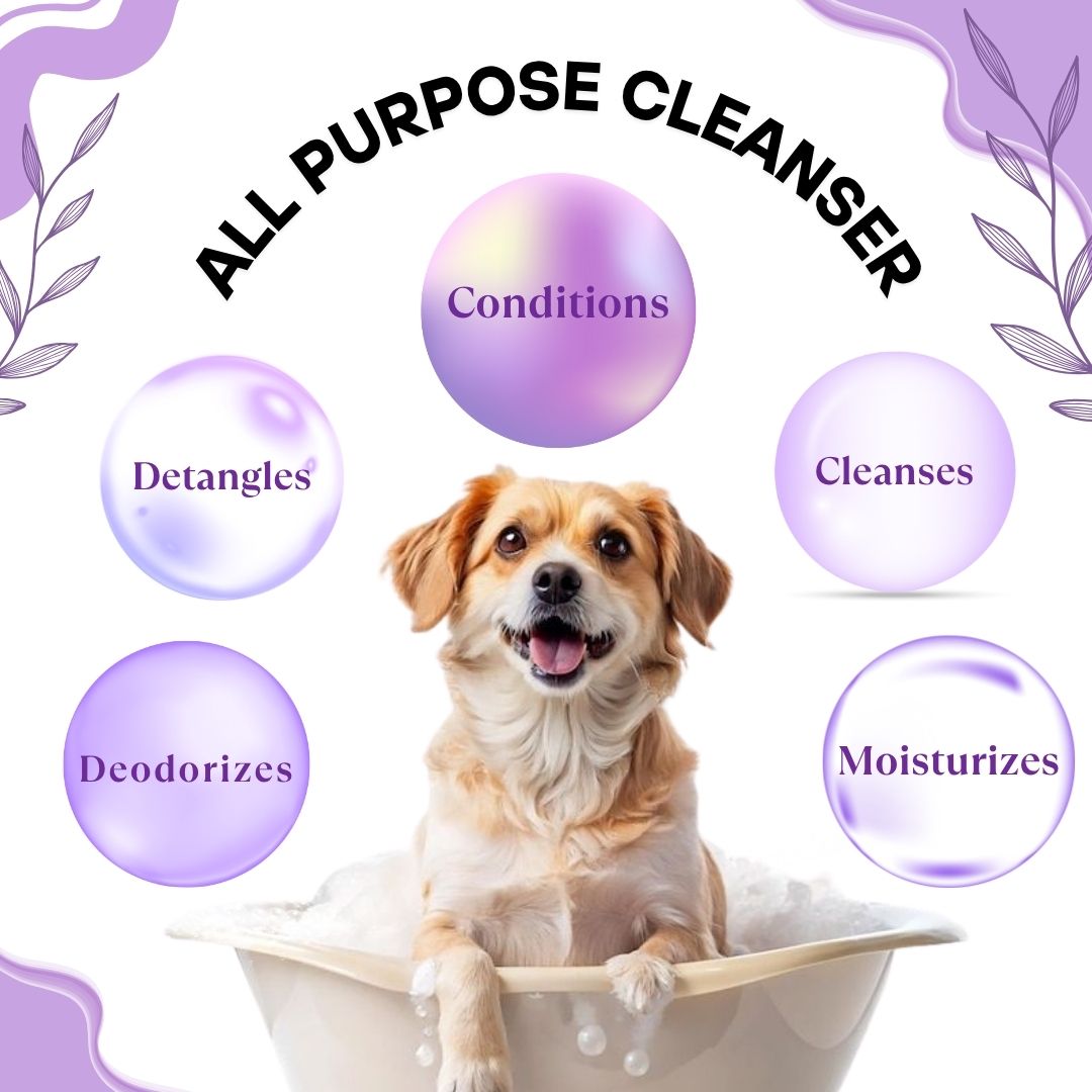 Bones N Paws 5-in-1 All Purpose Conditioning Dog Shampoo 50ml | Deodrise, Detangle,Cleanse, Moisturize, Shiny Coat Puppy Safe | Anti-Fungal, Antibacteria, Antidandruff & pH Balance Lavender Chamomile | All Breed