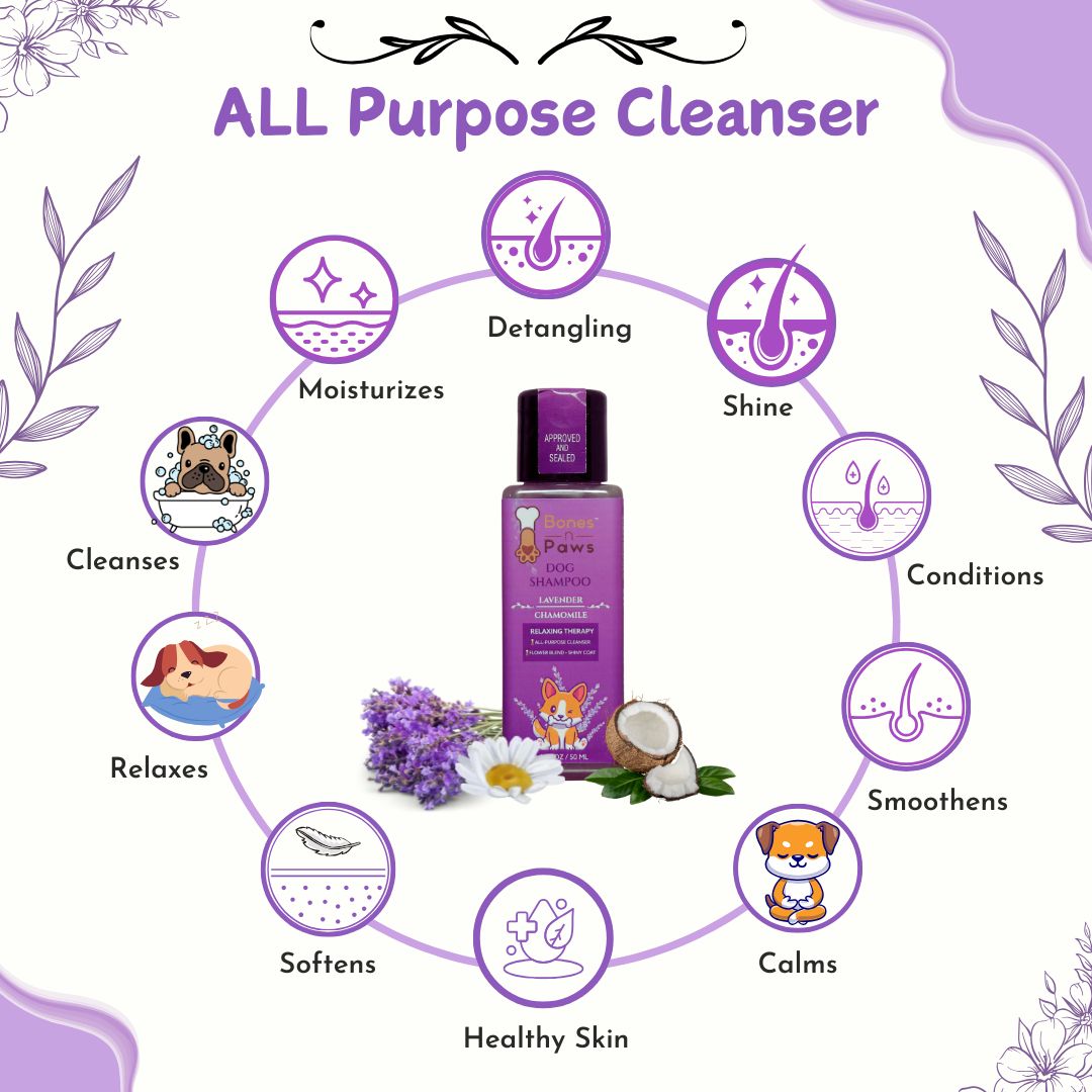 Bones N Paws 5-in-1 All Purpose Conditioning Dog Shampoo 50ml | Deodrise, Detangle,Cleanse, Moisturize, Shiny Coat Puppy Safe | Anti-Fungal, Antibacteria, Antidandruff & pH Balance Lavender Chamomile | All Breed