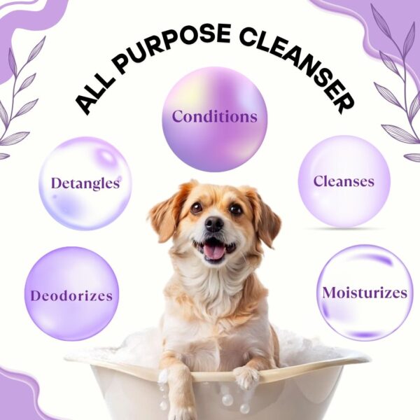 Bones & Paws 5-in-1 Conditioning Dog Shampoo for All Breeds | Natural All Purpose Cleanser with Lavender, Chamomile & Coconut | Conditioning, Moisturizing, Detangling & Deodorizing | Fragrance-Free Dog Wash | 100ml